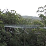 Tree Top Walk Tree Top Walk