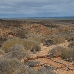 Ningaloo-Riff in Sicht