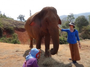 Das erste Kennenlernen: Mein Elefant Medulu