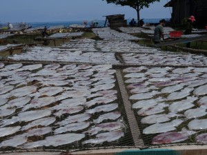 Immer der Nase nach: Tintenfischchen trocknen im Dorf
