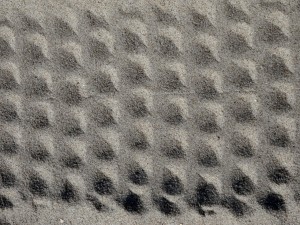 Quiz: Was sind das für Spuren im Sand?