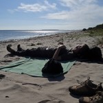 Müde von der frischen Ostsee-Luft.