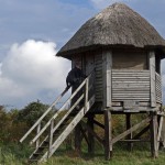 Am Ziel - das Vogelbeobachtungshaus.